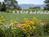 A Little Inn on Pleasant Bay::BedAndBreakfast.com