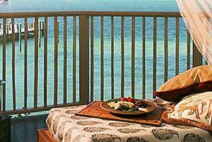 Web-ftl_palm-patio-1