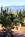 Alta Vista Bed & Breakfast Inn::BedAndBreakfast.com