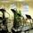 Residence Inn by Marriott Phoenix-Chandler::Hotels.com
