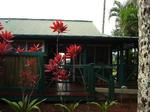 Honua Spa::TripAdvisor