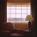 Holiday Inn Express Albany Airport::Orbitz