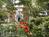 Farnam Guest House::BedAndBreakfast.com