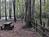 Pine City Campground from Forestcamping.com