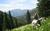 Smith Fork Ranch::CiaoBambino