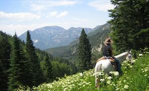 Smith Fork Ranch::CiaoBambino