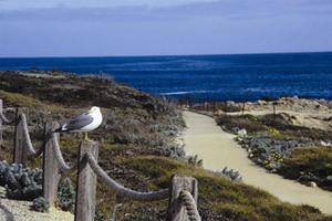 Web-sjc_asil-beach-1