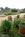 Seal Cove Inn::BedAndBreakfast.com