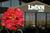 Livinn Suites Sharonville::ProfessionalTravelGuide.com