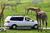 Best Western Canyonville Inn::Expedia