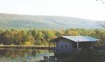 Cove Campgrounds