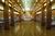 Queen Mary::Orbitz