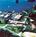 Best Western Crystal River Resort from Yahoo! Travel