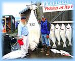 A-Ward Charters::A-Ward Charters
