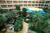 Embassy Suites Chicago - North Shore/Deerfield::Travelocity.com