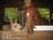 Shady Oaks Farm Bed and Breakfast::BedAndBreakfast.com