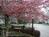 Montgomery Inn::BedAndBreakfast.com