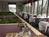 Holiday Inn Tanglewood::ProfessionalTravelGuide.com
