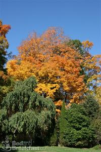 Historic Merrell Inn::BedAndBreakfast.com