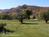Grandview Lodge::BedAndBreakfast.com