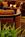 Holiday Inn Downtown at the Park::Priceline.com