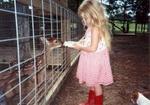 Old McDonald's Farm Petting