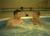 Landmark Inn::Travelocity.com