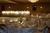Holiday Inn Chicago-Countryside/Lagrange::Priceline.com