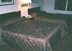 Days Inn Shepherdstown