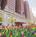 Hilton Chicago::Orbitz