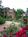 Holiday Inn Cartersville::Orbitz