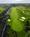 Seaview Resort & Spa, A Marriott Resort::Expedia