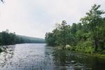 Erving State Forest