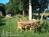 Lazy L at Willow Creek::BedAndBreakfast.com
