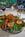 Regency Fairbanks Hotel::Orbitz
