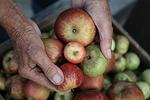 Foggy Ridge Cider