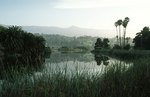 Tn-andre_clark_bird_refuge_m