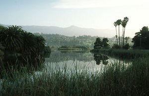 Andre Clark Bird Refuge::Santa Barbara CVB