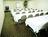 SUPER 8 MOTEL - Snellville/Stone Mtn Pk Area GA::ProfessionalTravelGuide.com