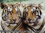 Tn-n62918_ext_26_e