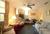 St. Francis Inn::LanierBB.com