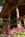 Carson Ridge Private luxury Cabins::BedAndBreakfast.com