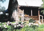 Tn-200707222021060