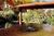 Sunrise Springs Inn And Resort::Expedia