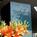 Holiday Inn Fingerlakes::Travelocity