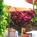 Hotel Beverly Terrace::Orbitz