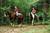 Disney's Fort Wilderness Resort & Campground::Hotels.com