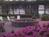 1857 Florida House Inn::VirtualTourist