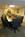Holiday Inn Beaumont Plaza::Orbitz
