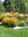 Inn the Village - A Corrales Bed & Breakfast::BedAndBreakfast.com